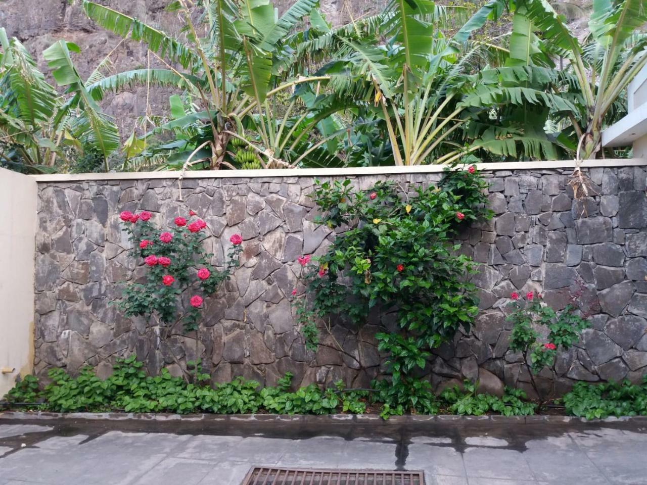 Ribeira Grande Country House Cha de Arroz Bagian luar foto