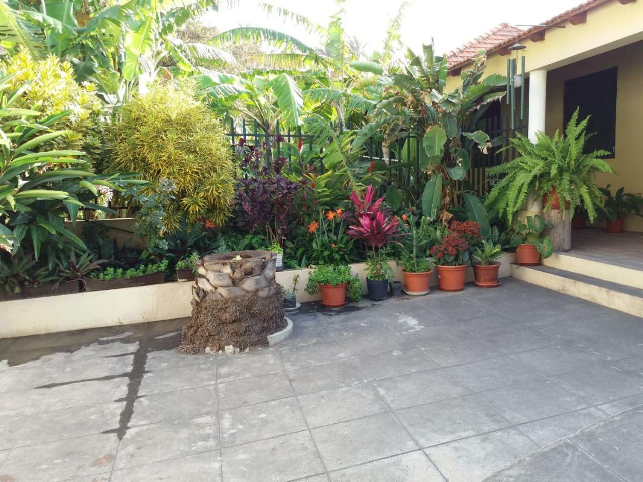 Ribeira Grande Country House Cha de Arroz Bagian luar foto
