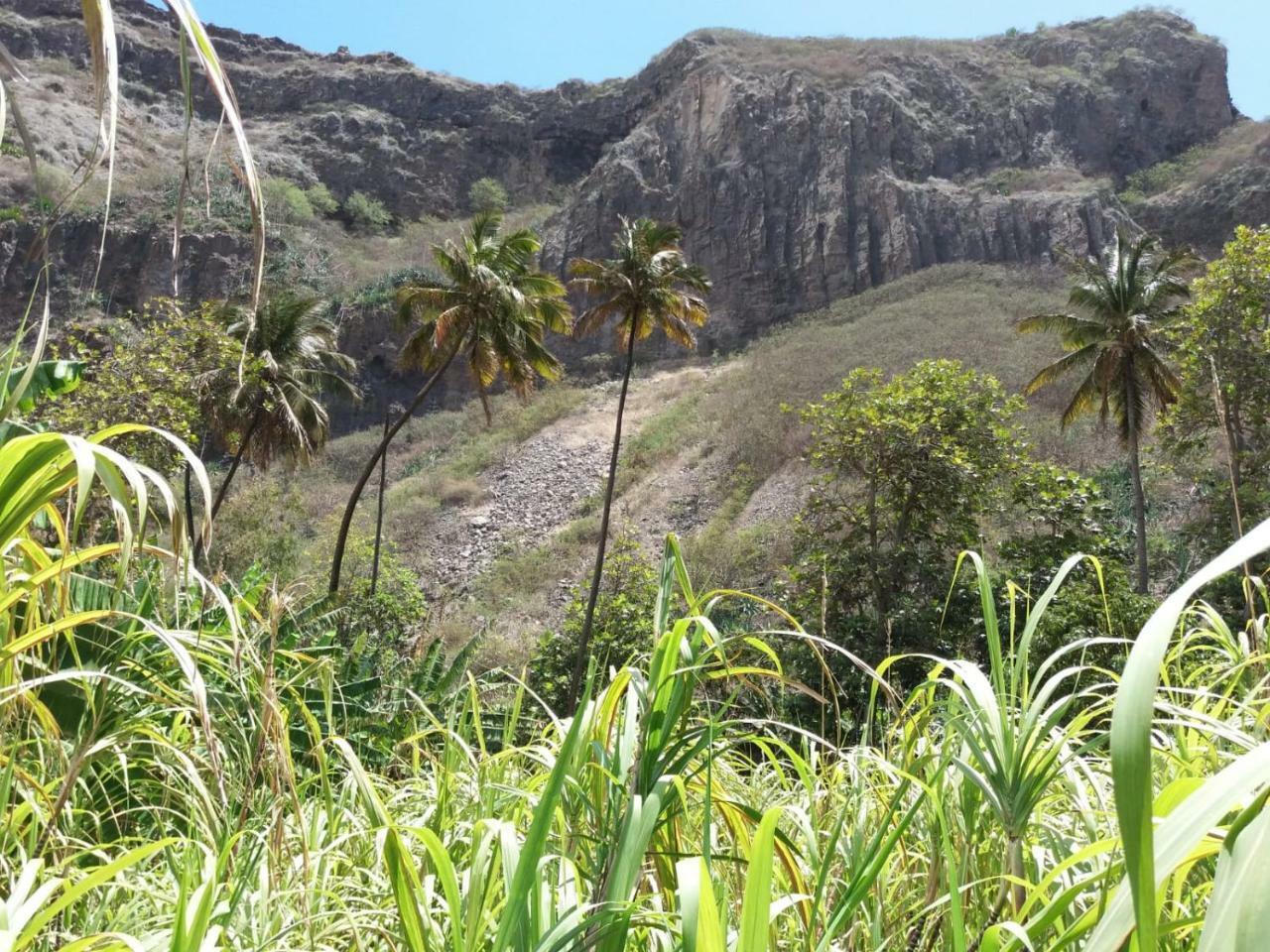 Ribeira Grande Country House Cha de Arroz Bagian luar foto