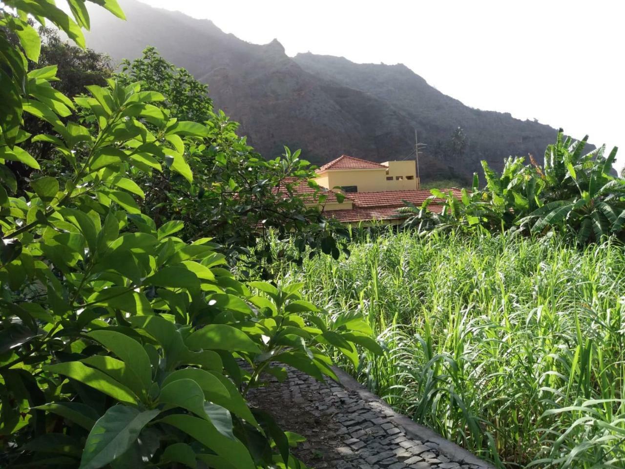 Ribeira Grande Country House Cha de Arroz Bagian luar foto